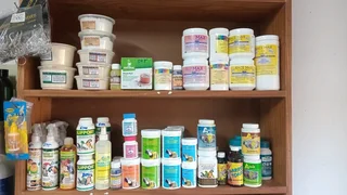 Doxy strong for pegions