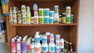 Doxy strong for pegions