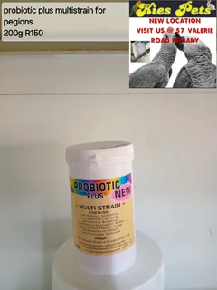 Probiotic plus multi strain for pigeons