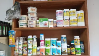 Probiotic plus multi strain for pigeons