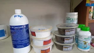 Probiotic plus multi strain for pigeons