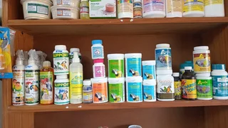 Altabactine plus 4 in 1 for birds