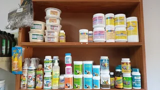 Natural pick pot for pegions