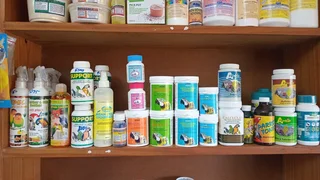 Dovaworm for pegions