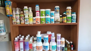 Dova soute electrolyte suppliment for birds