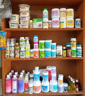 Avian instect liquidator