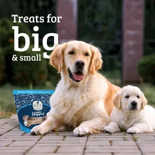 Jock happy happies biscuits for dogs