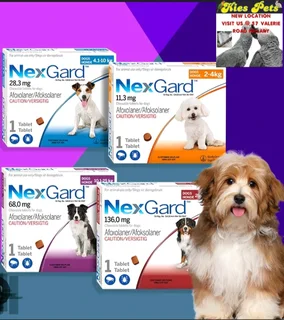 Nexgard for the control of ticks and fleas in dogs