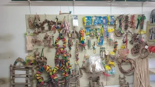 Birds chew toys for all sizes