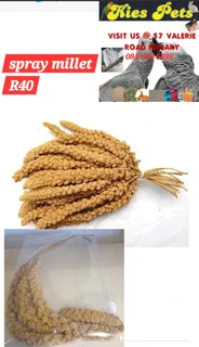 Spray millet for birds