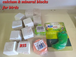Calcium and mineral blocks for birds