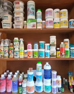 Calcium and mineral blocks for birds