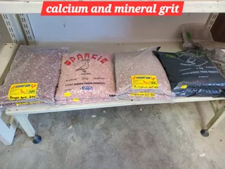 Calcium and mineral blocks for birds