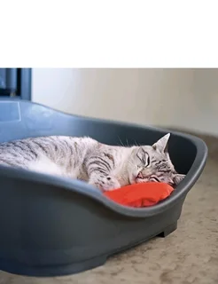 Sleeping beds for small and medium size dogs