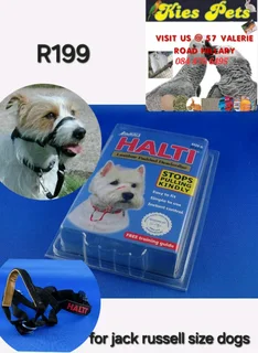 Leather padded head collar for small breed dogs