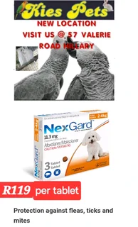 Nexgard for the control of ticks and fleas in dogs