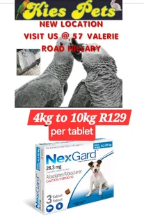 Nexgard for the control of ticks and fleas in dogs