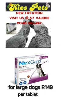 Nexgard for the control of ticks and fleas in dogs