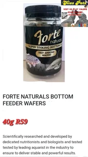 Quick sinking bottom feeder food