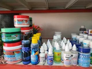 Quick sinking bottom feeder food