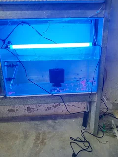 Electronic ballast fitting for fish tanks