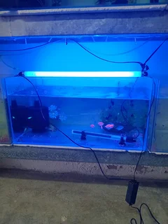 Electronic ballast fitting for fish tanks