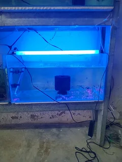 Electronic ballast fitting for fish tanks