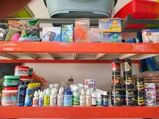 Algae rid for aquarium and small ponds