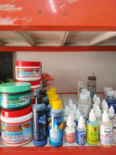 Algae rid for aquarium and small ponds