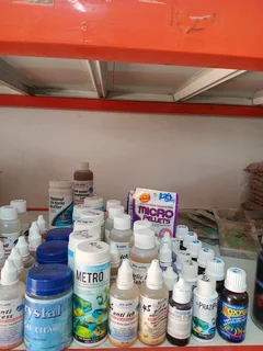 Algae rid for aquarium and small ponds