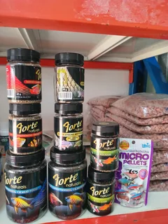 Algae rid for aquarium and small ponds