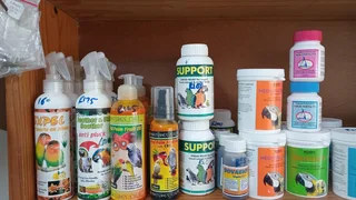 Red palm fruit oil with CBD for birds