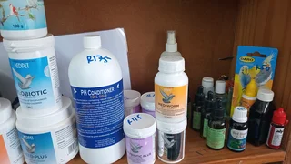 Red palm fruit oil with CBD for birds