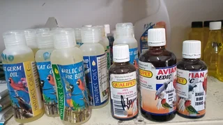 Red palm fruit oil with CBD for birds