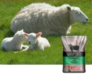 Epol sheep food pellets