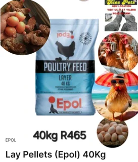 Epol chicken layers feed