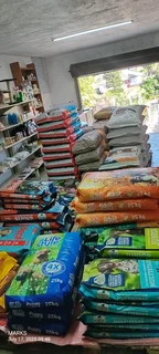 Complete Elite dog food for large to giant breed dogs