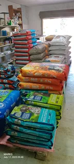 Complete Elite dog food for large to giant breed dogs