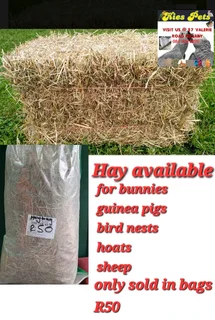Hay for rabbits,goats,sheep available