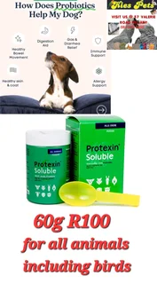 Protexine soluble multistrain probiotic for all animals