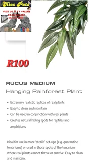 Artificial terranium plants