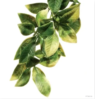 Artificial terranium plants