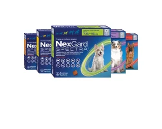 Nexguard spectra for internal and external parasites in dogs