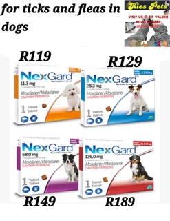 Nexgard for the control of ticks and fleas in dogs