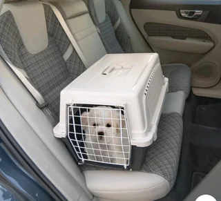 Atlas Cat and small dog carriers