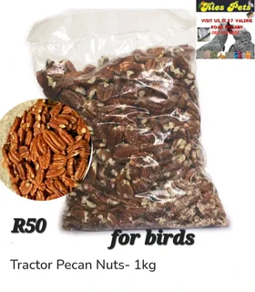 Pecan nuts for birds