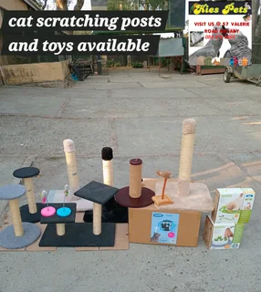 Cat scratching posts