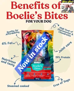 Boelies bites budget food for adult dogs