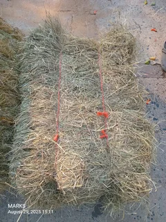 Hay bales for livestock
