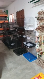 Bird Cages